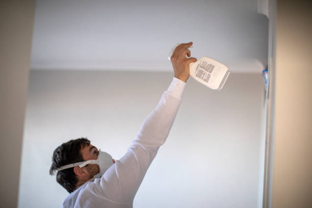 Best Mold Testing and Inspection Services in Norwalk, OH