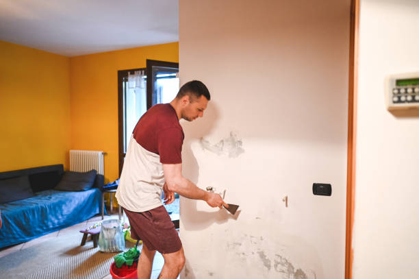 Best Localized Mold Remediation (e.g., coastal areas, humid climates) in Norwalk, OH